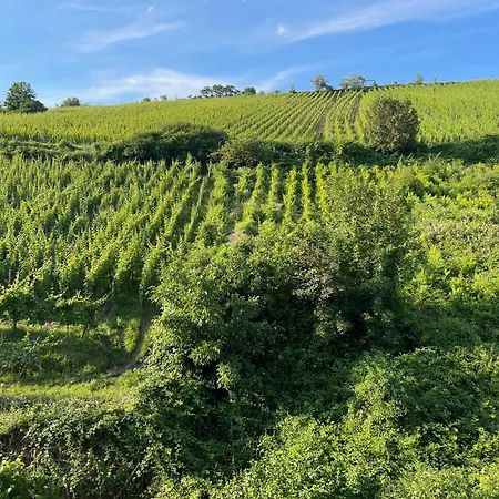 Apartamento Maison Des Vignerons Riquewihr